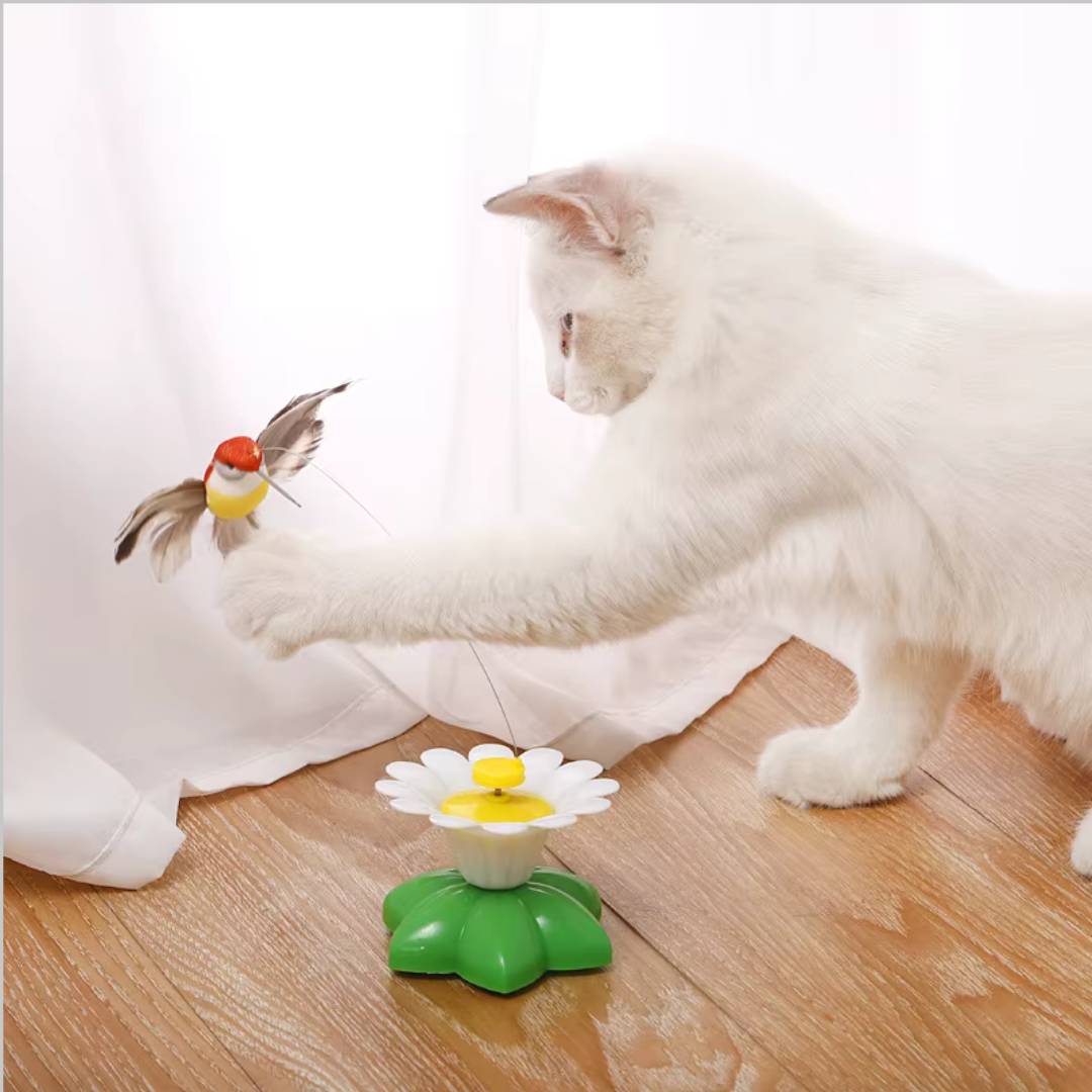 Spinning Butterfly Cat Toy